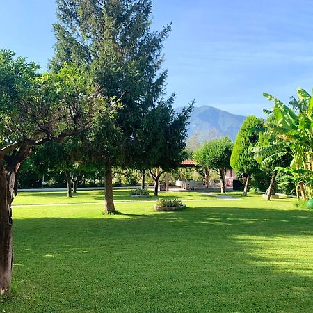 Villa Josette Sant'Egidio del Monte Albino Dış mekan fotoğraf